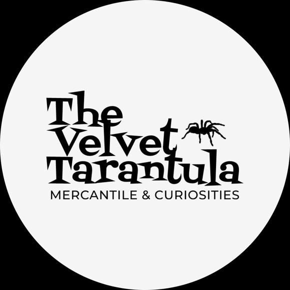 velvettarantula